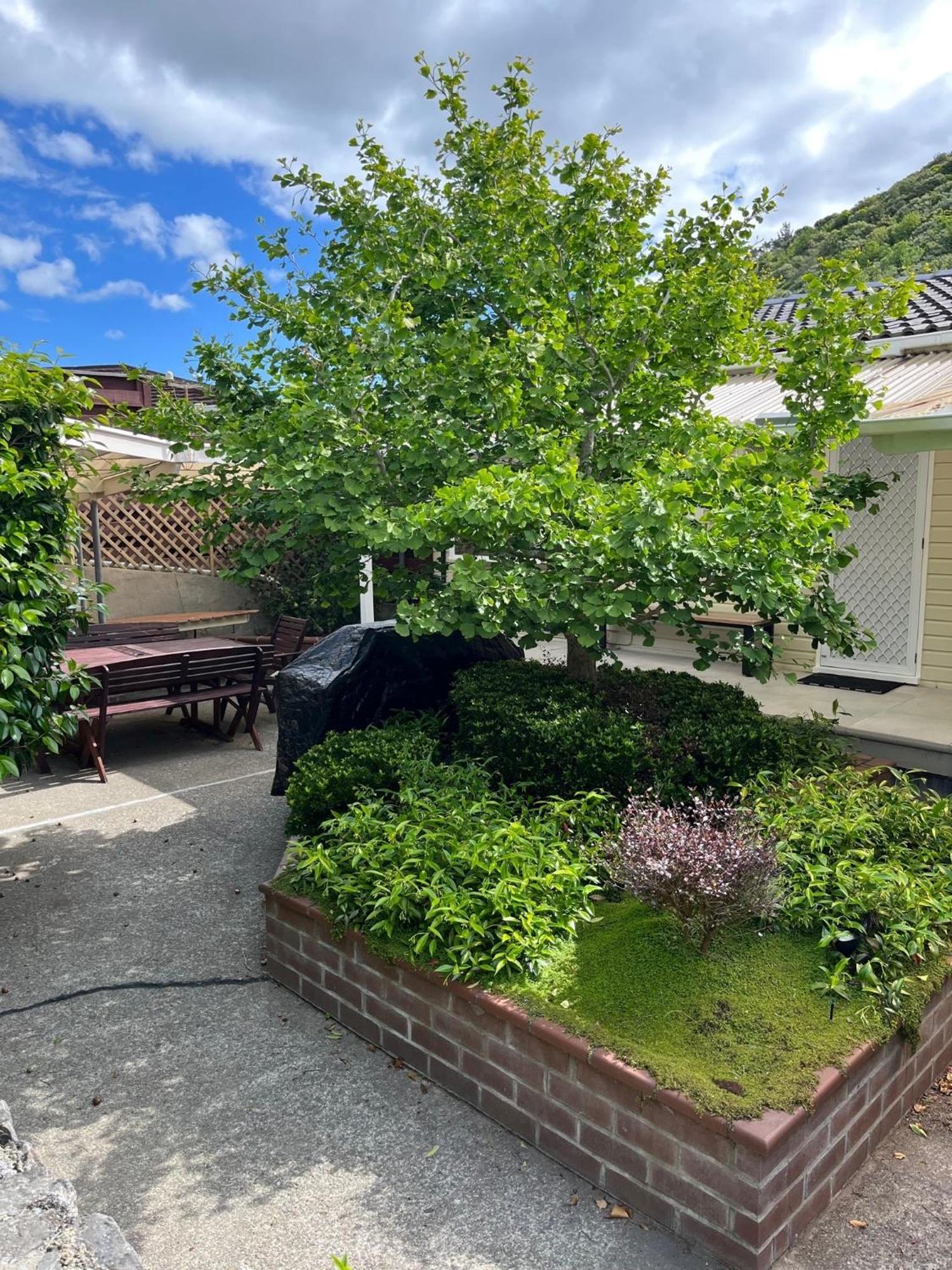 Retro 4 Bedroom Home, Warm And Welcoming, Quiet Location Porirua Exterior photo